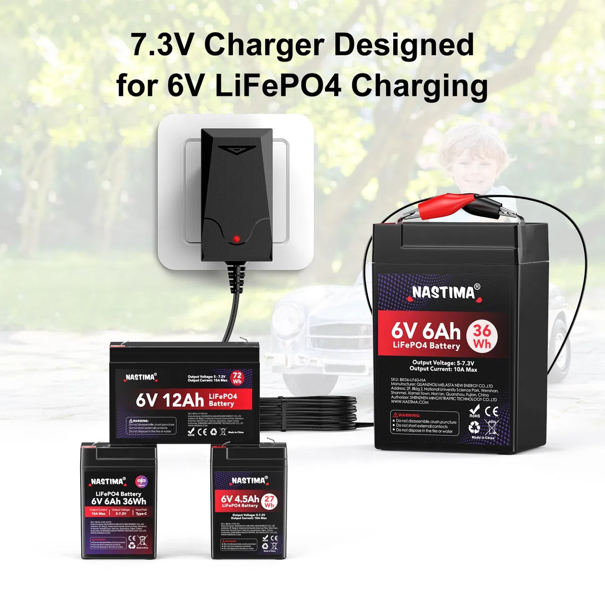 NASTIMA Cargador 7,3V 1000mA LiFePO4 para Baterías LiFePO4 de 6V 4Ah/4,5Ah/6Ah/7Ah/12Ah, con Protección contra Cortocircuitos, Sobrecorriente y Sobretensión, y luz Indicadora de Carga