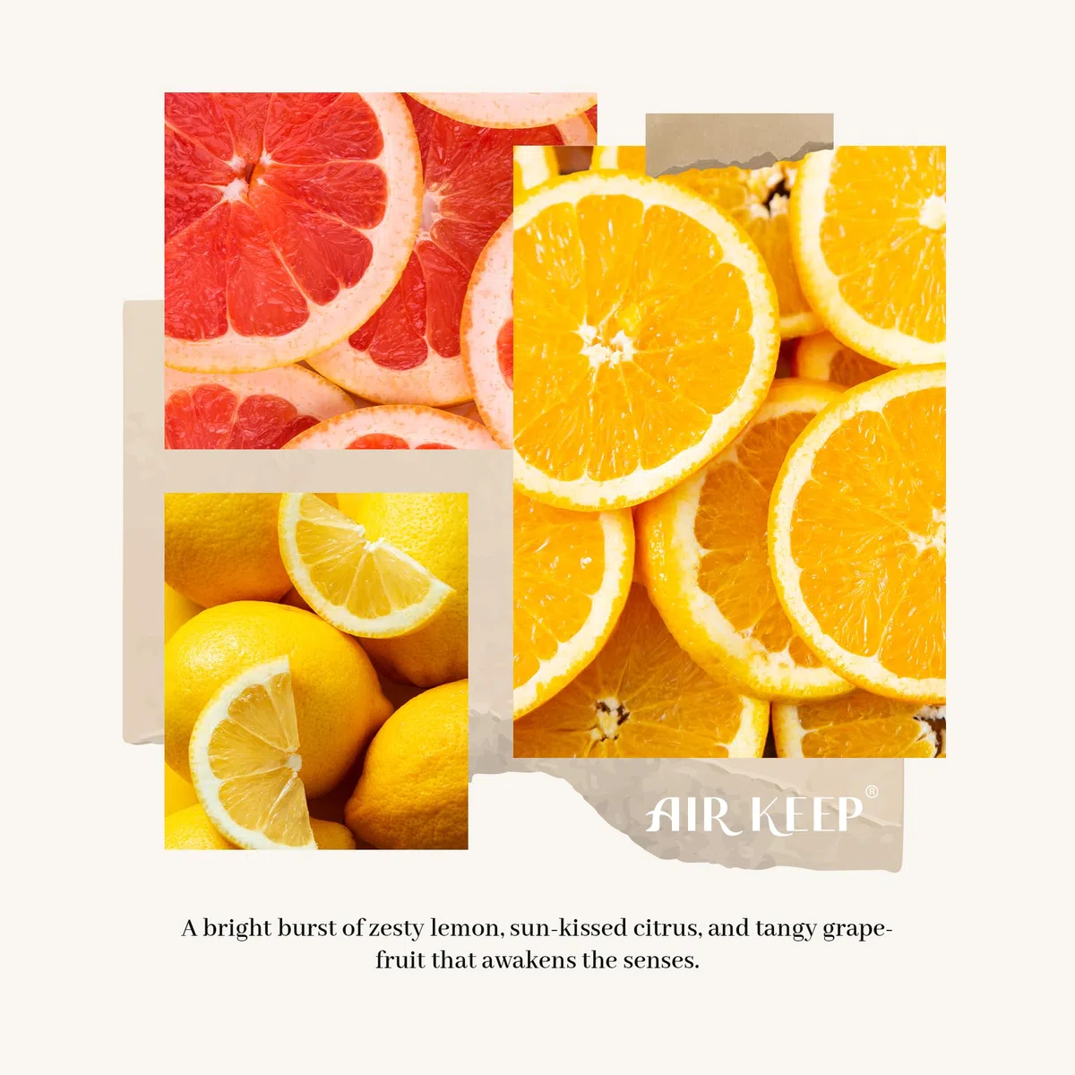 Airkeep Difusor de Aromas Citrus Lemon, Ambientador Hogar con 8 Varillas Ambientador, Difusor de Fragancia