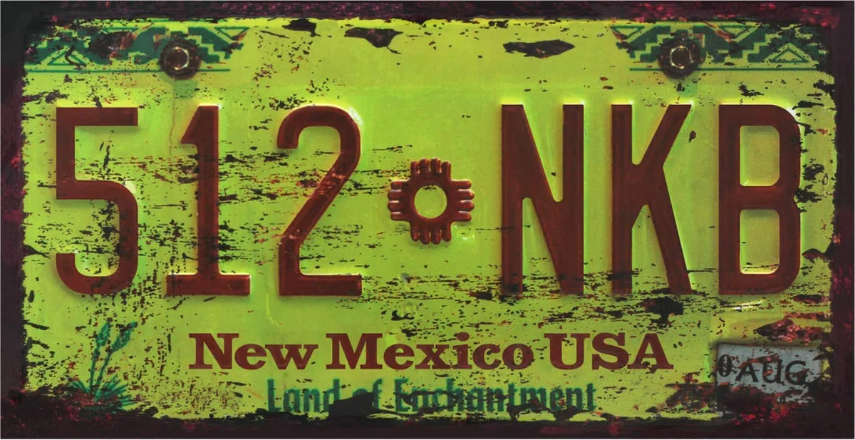 OPO 10 - Lote de 5 Placas de matrícula de automóviles de EE. UU. En Metal, con Efecto Envejecido - réplicas de Placas Americanas Reales (Old2)
