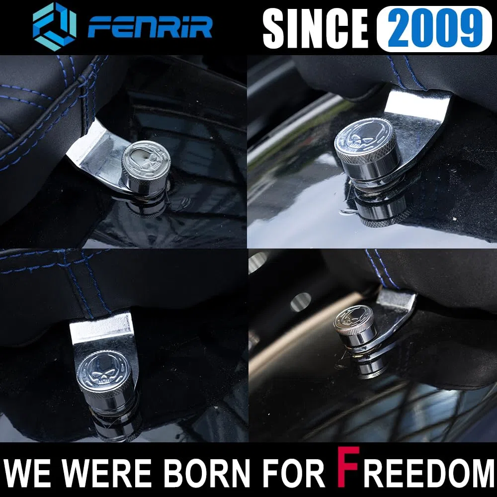 Fenrir Kit de Tornillo de Seguridad Antirrobo Asiento Moto Acero Inoxidable 304 Plata Grabado Metálico Calavera y Herradura Compatible con Harley Davidson 1997-Actualidad Sportster Softail Touring