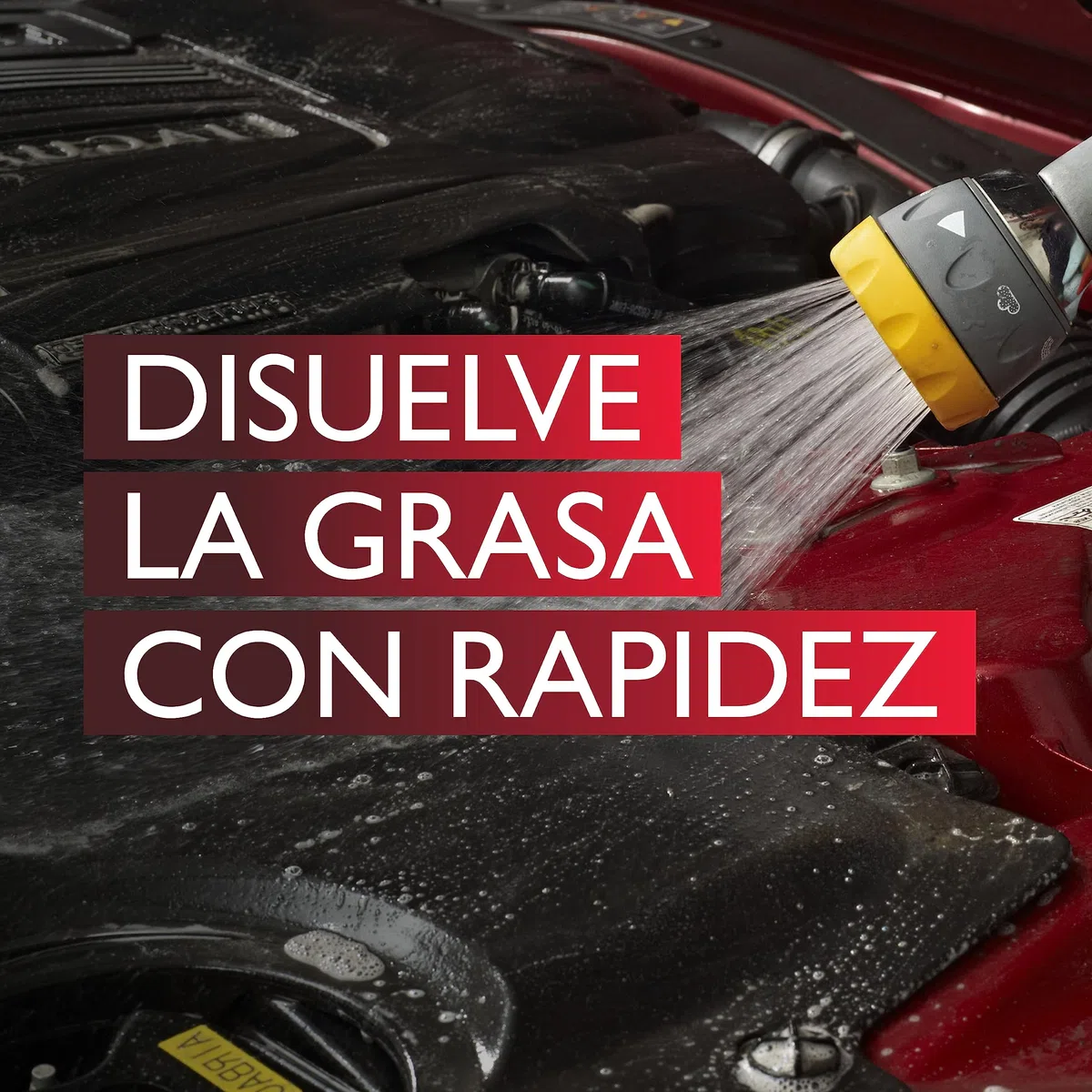 Autoglym Espray Limpiador de Motores y Maquinaria - Disuelve Aceite, Grasa y Suciedad, Sin Disolventes y Biodegradable, 1 L