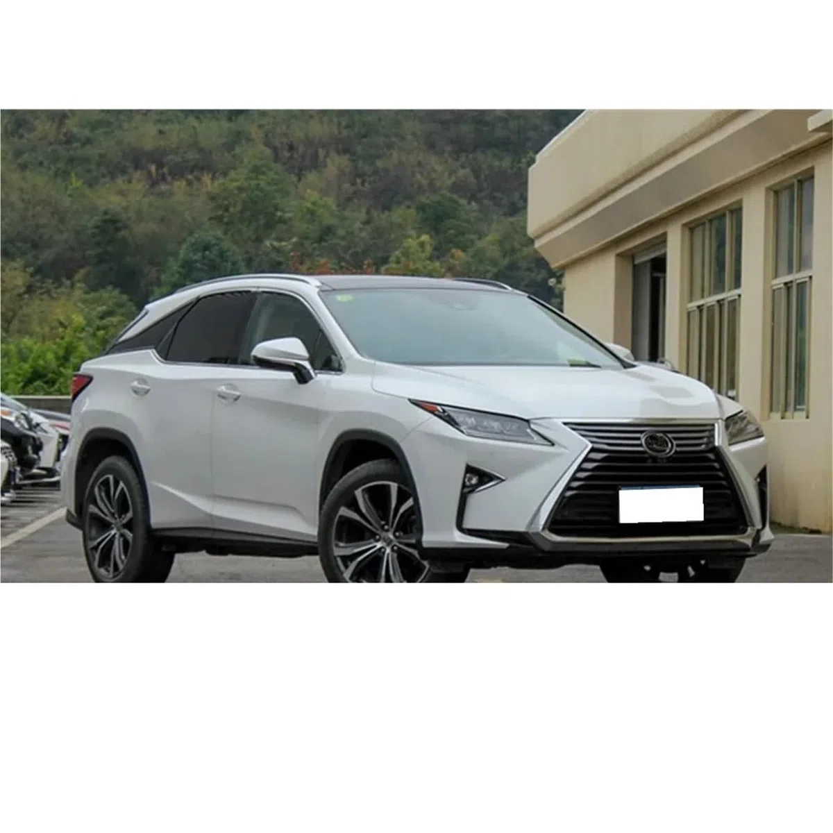 Deflector Viento ventanilla para RX 200t 300 450h 2016 2017 2018 2019 2020 2021 Visera para Ventana Protector contra La Lluvia Deflectores Laterales Accesorios para Coche 4 Uds