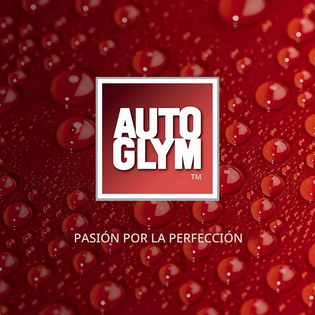 Autoglym Renovador de Pintura de 500 ml, restaurador de Pintura para Coche, Revive el Color y el Brillo, Elimina arañazos Finos y Niebla, fórmula sin Silicona