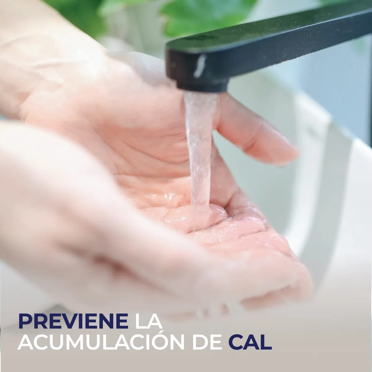 MUNTRADE Tank Fresh 5L | Aditivo para Aguas Grises de Caravanas y Campers