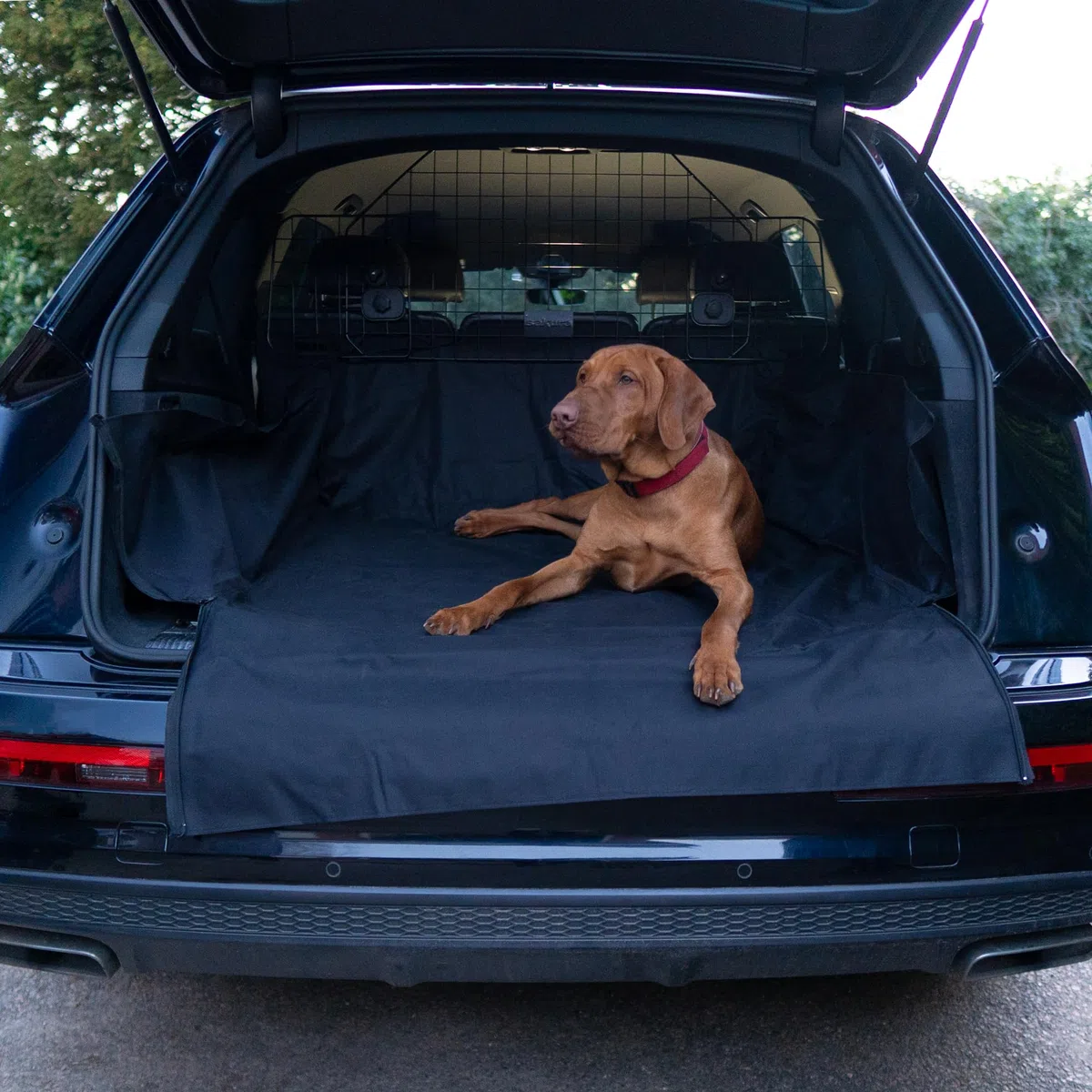 Sakura SS4612 - Funda Protectora Maletero de Coche, Tamaño Universal, Resistente, se Puede Limpiar con un Trapo, a Prueba de Roturas, Protege de Mascotas, Barro, Agua, Basura, Herramientas y Compras