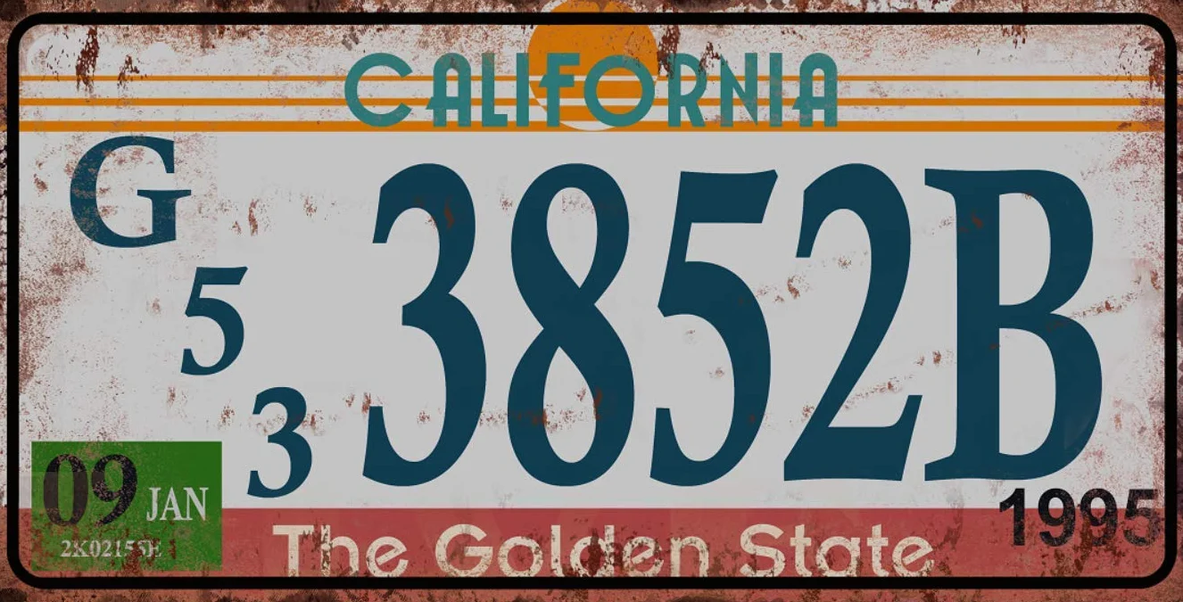 OPO 10 - Lote de 5 Placas de matrícula de automóviles de EE. UU. En Metal, con Efecto Envejecido - réplicas de Placas Americanas Reales (Old2)