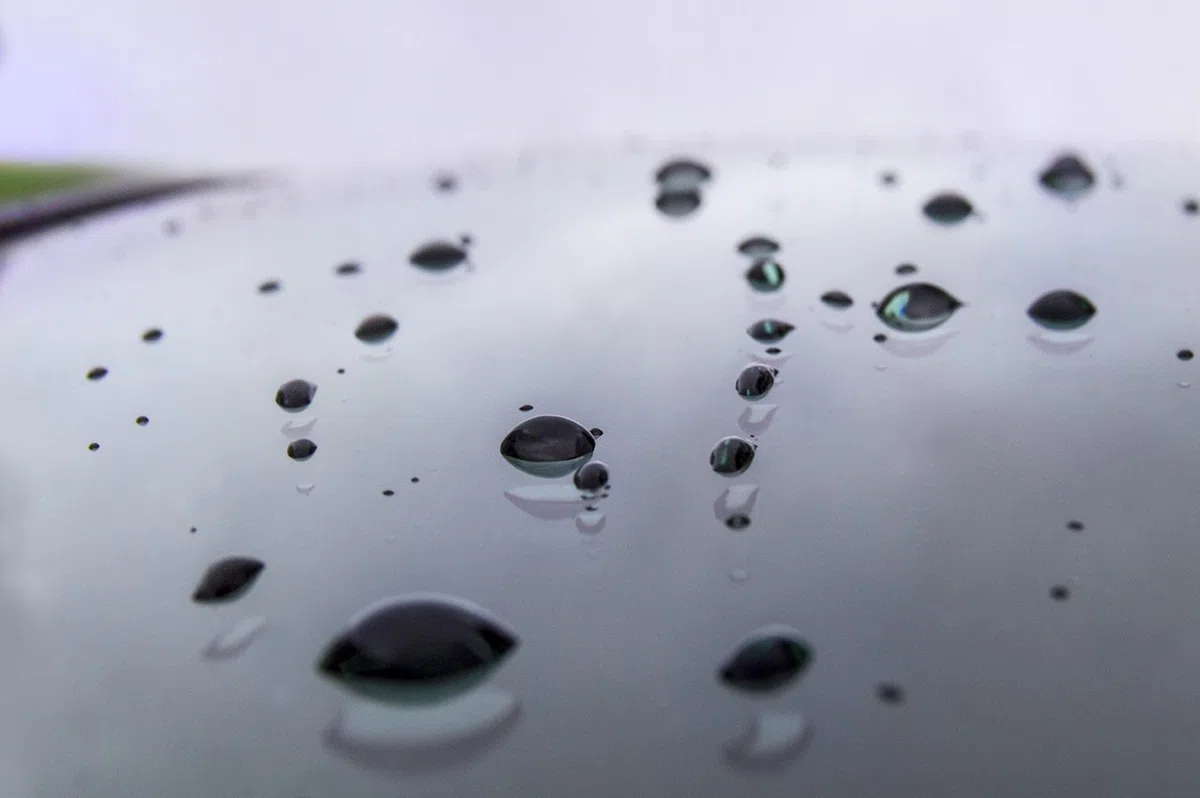 Sisbrill Lavaparabrisas Concentrado para 5 depósitos - El usuario pone el agua - Anti lluvia y Repelente - 1 Litro