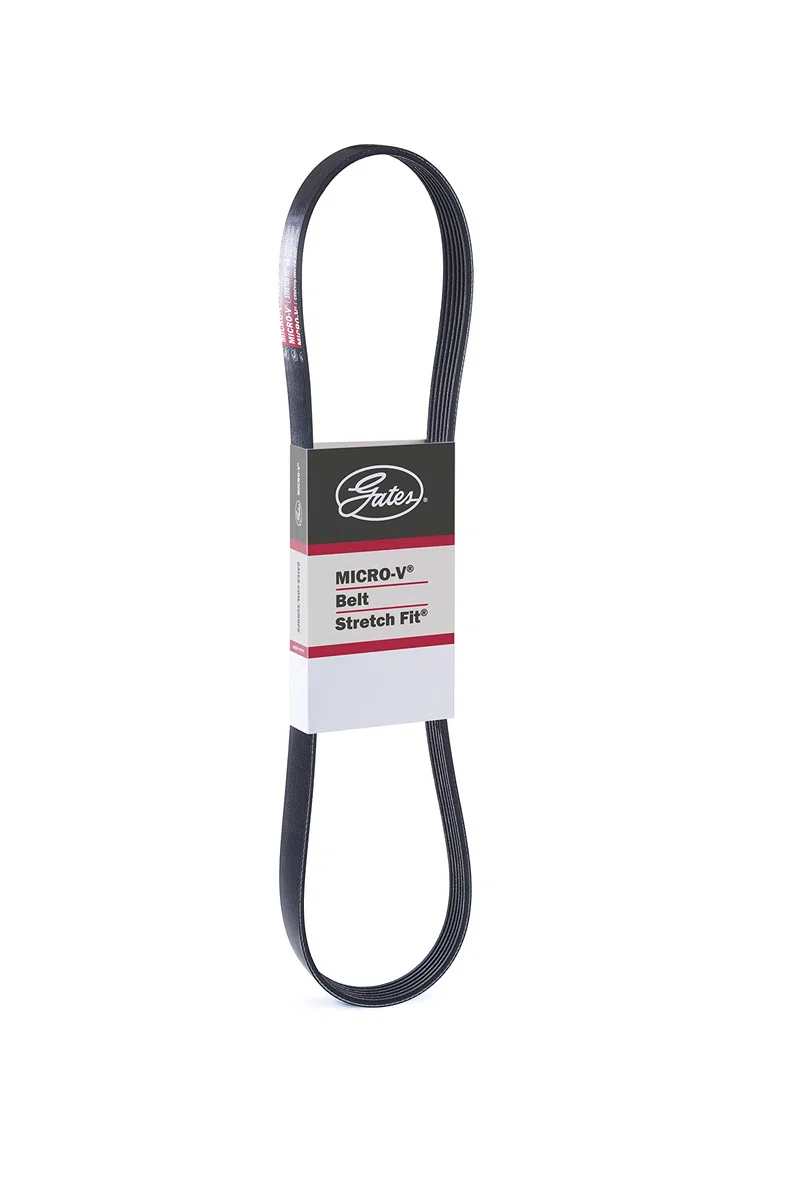 GATES 6PK1030SF Correa trapecial poli V negro