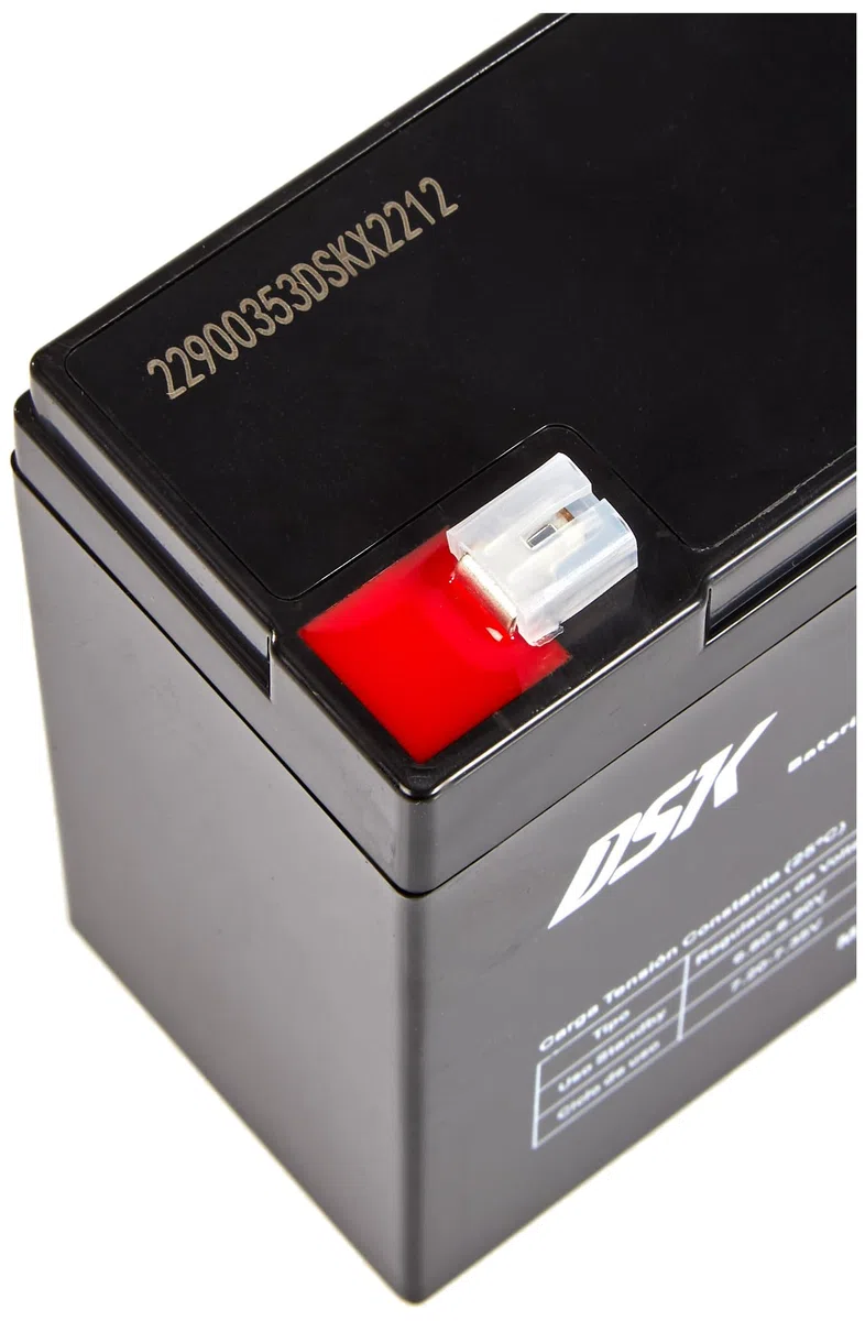 DSK 10321 - Batería de plomo AGM recargable sellada de 6 V y 12 Ah. Batería ideal para coches eléctricos y motocicletas para niños, sistemas UPS/UPS, sistemas de seguridad y alarmas