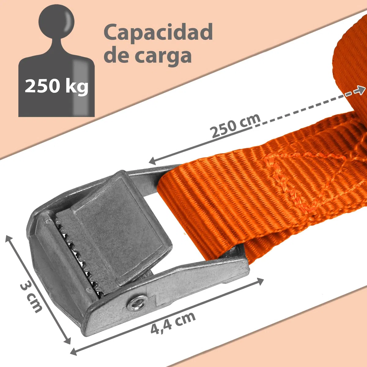 BB Sport Correa de Amarre cinturón de Amarre con Hebilla Resistente a 250 kg DIN EN 12195-2, 4 Piezas 2.5 cm x 2.5 m
