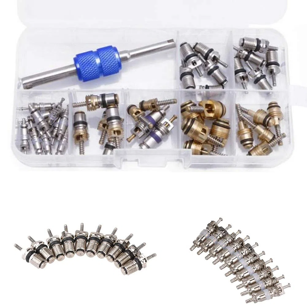 39PCS Refrigeración para automóvil A/C Kit de núcleo de válvula R12 R134A Aire Acondicionado automotriz Válvula de neumático Núcleos de vástago con Surtido de Herramientas de extracción