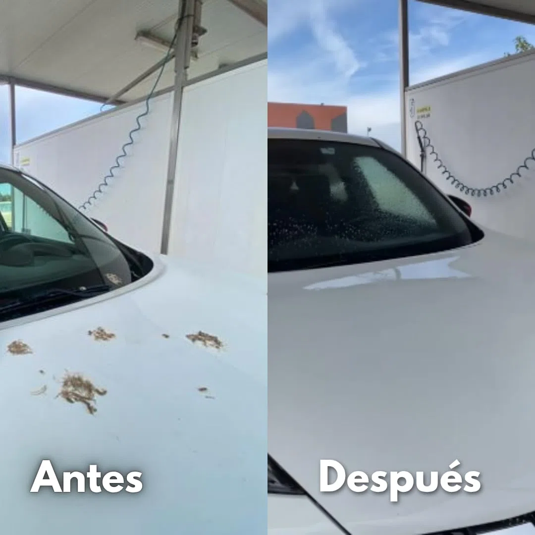 Tecnoxx – Bugs Off Limpiador de Mosquitos Eliminador de Insectos y excrementos Aves en Parabrisas y Carrocería - Envase Grande 750ml con pulverizador