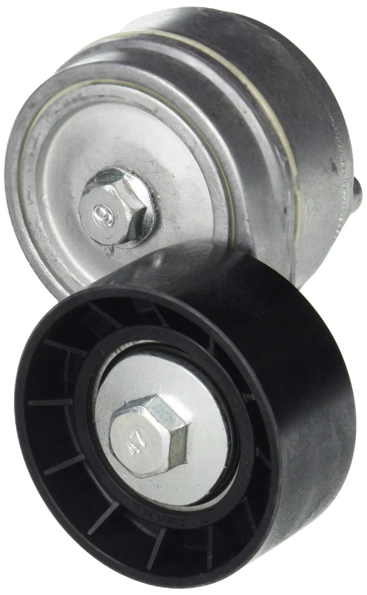 Dayco APV1077 Tensor de Correa, Correa Poli V