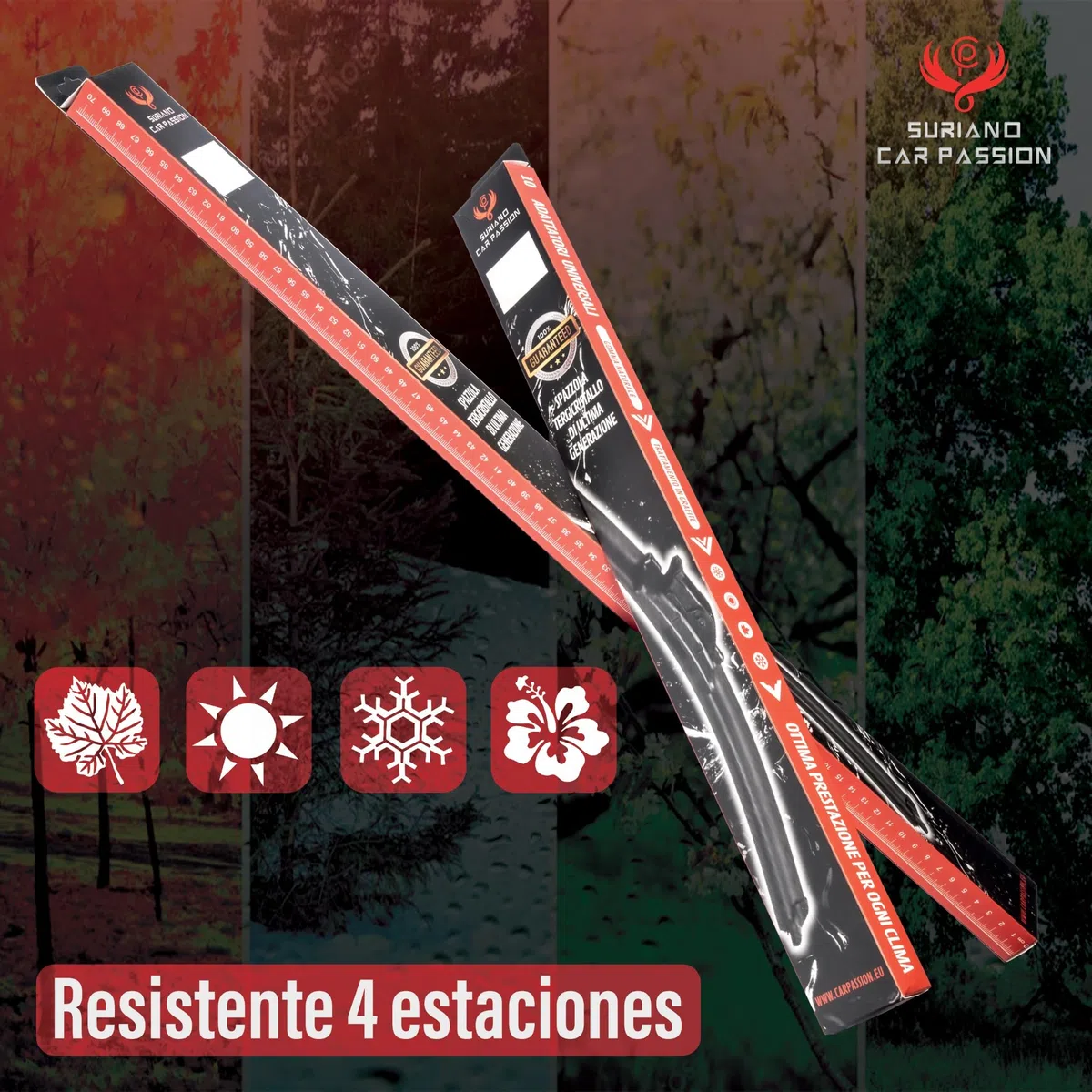 Limpiaparabrisas Coche Compatible con CITROEN C4 2004-2018 Escobillas delanteras 70 60 cm - Set nuevo Aero Flat