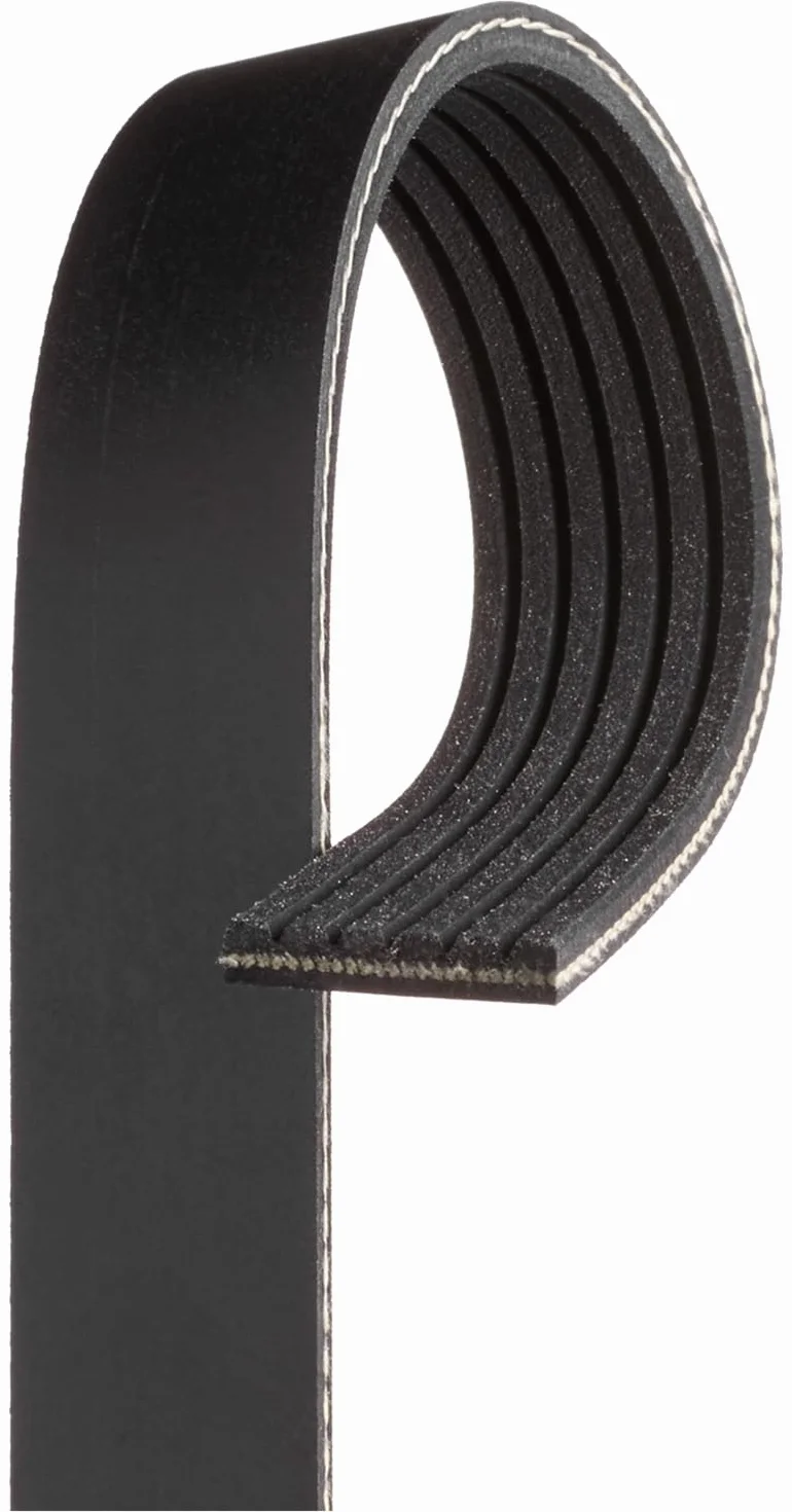 GATES 6PK1030SF Correa trapecial poli V negro