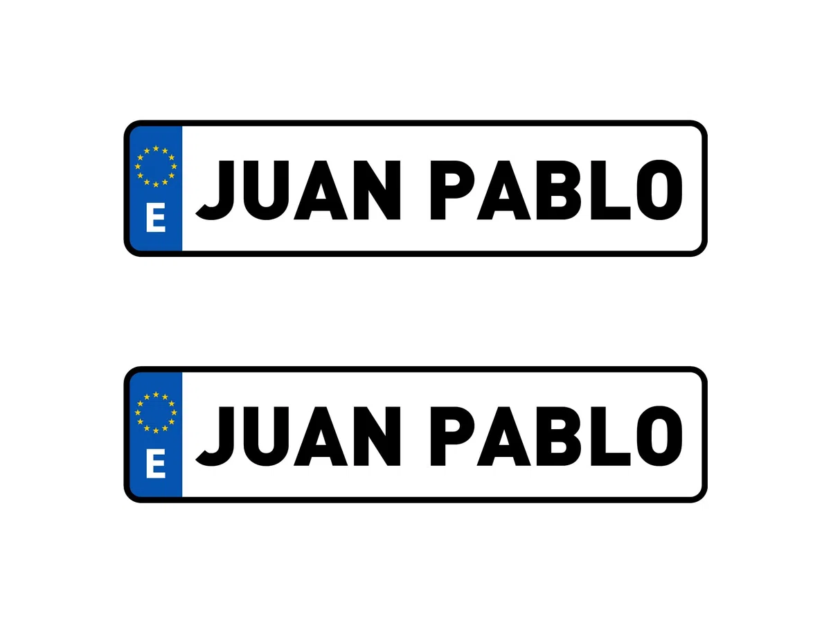 Oedim Pack de 2 Matriculas Coche Decorativas Personalizadas, 49,6x11,6cm, Divertida y Original, Fabricada en PVC