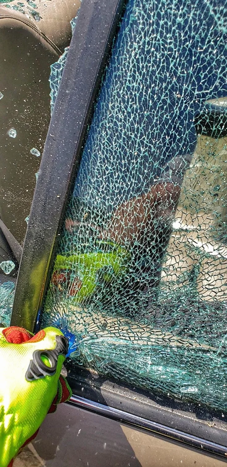 Resqme 2 Unidades, la Herramienta de Escape de Coche con Llavero de Emergencia Original, Cortador de cinturón de Seguridad 2 en 1 y rompeventanas, Martillo de Seguridad Compacto, Ejercito Verde