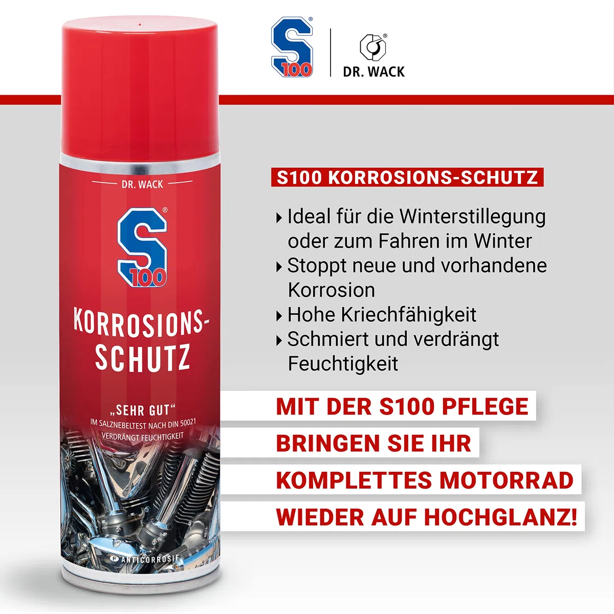 S100 2110 - Protección anticorrosión, 300 ml