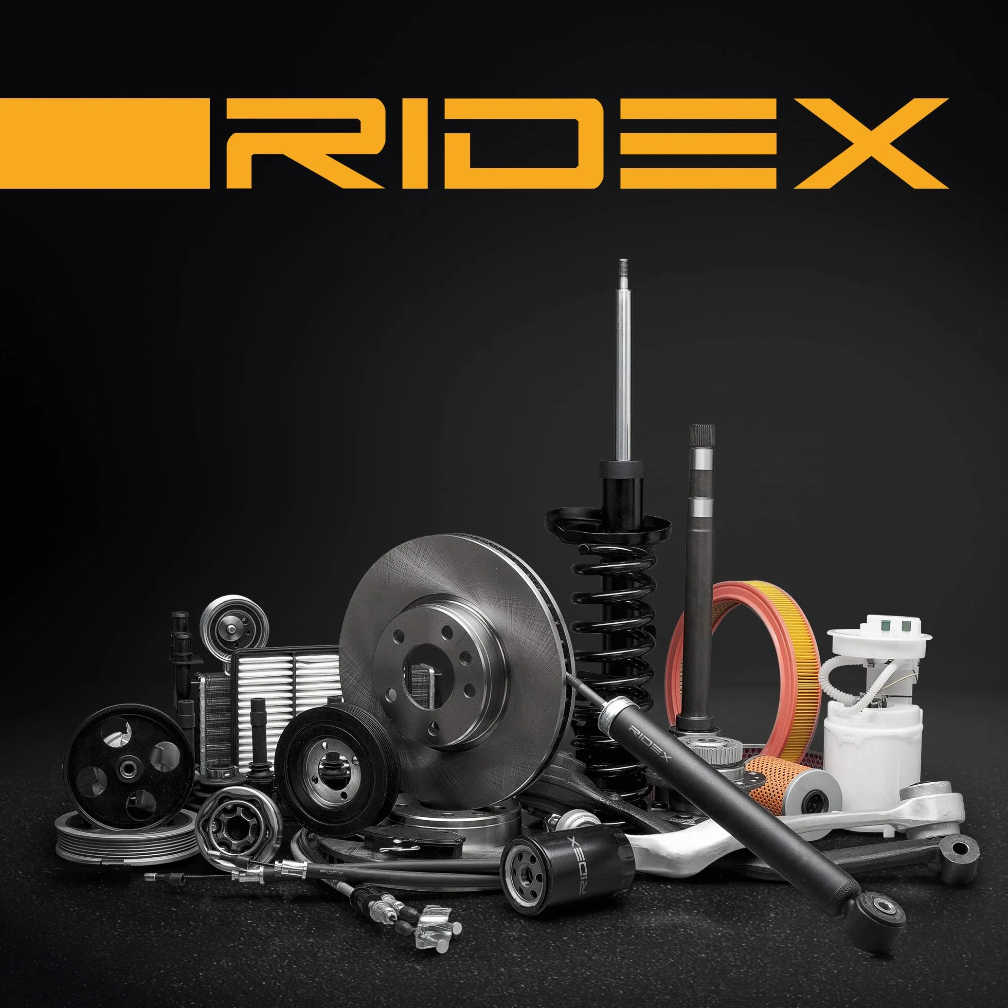 RIDEX 654W0191 Juego de cojinete de rueda Trasero Izquierda Derecha Trasero ambos lados Compatible con RENAULT Clio II Hatchback BB, CB