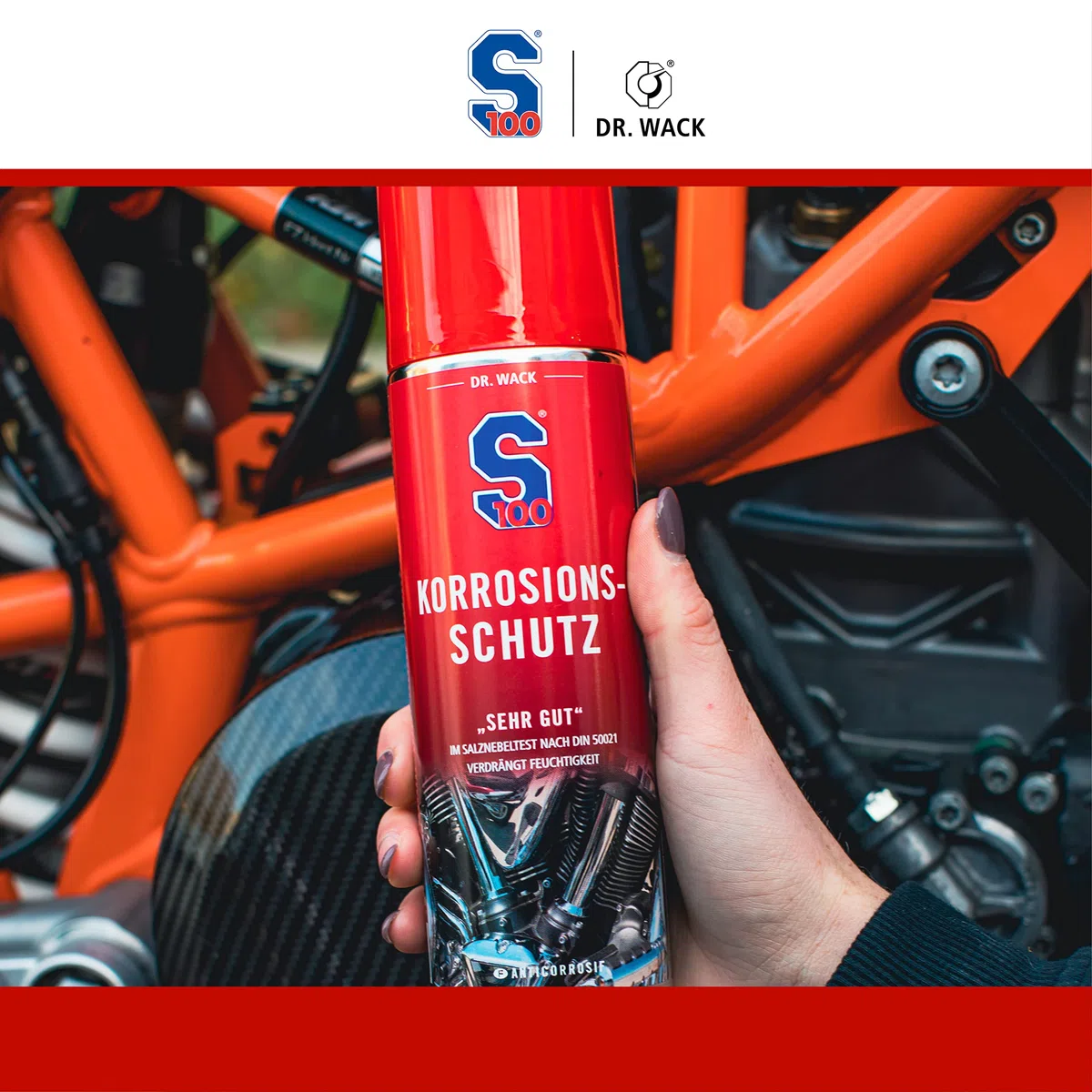 S100 2110 - Protección anticorrosión, 300 ml