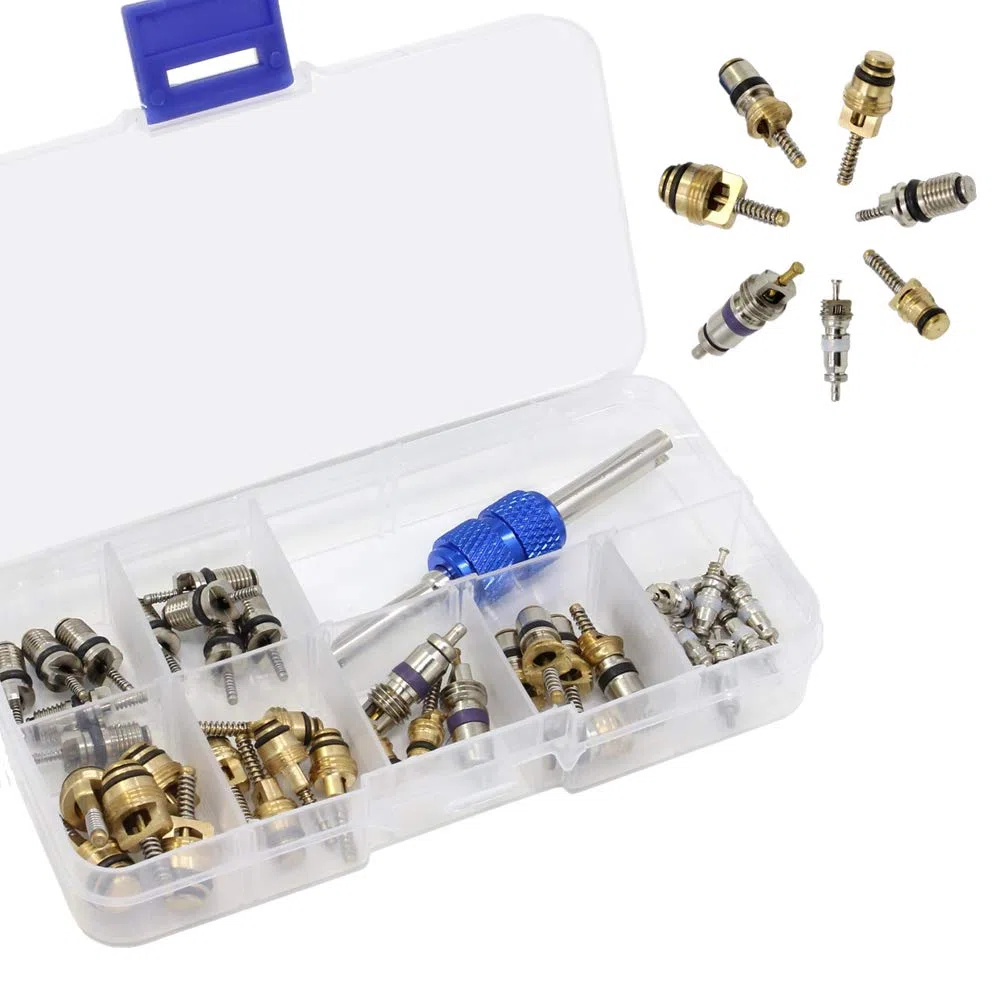 39PCS Refrigeración para automóvil A/C Kit de núcleo de válvula R12 R134A Aire Acondicionado automotriz Válvula de neumático Núcleos de vástago con Surtido de Herramientas de extracción