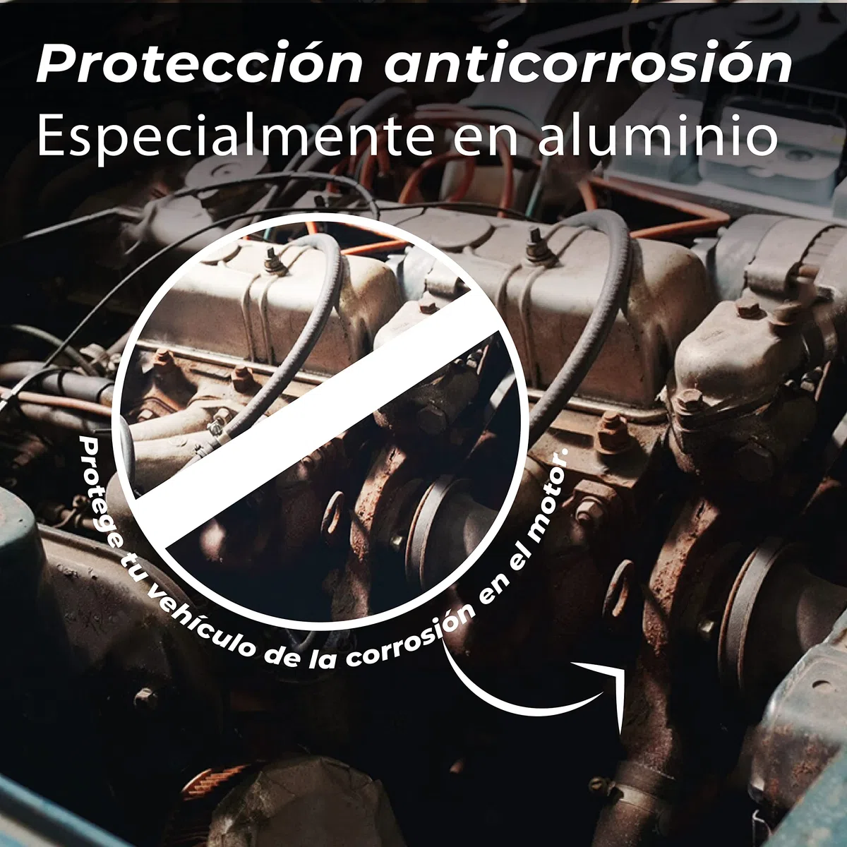 Anticongelante 50% 5 litros Rojo | Coche orgánico G12 Protección -37º | Fórmula Mejorada