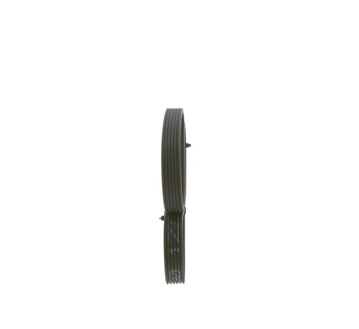 Bosch 6DPK1195 - Correas en V estriadas - 1987946200
