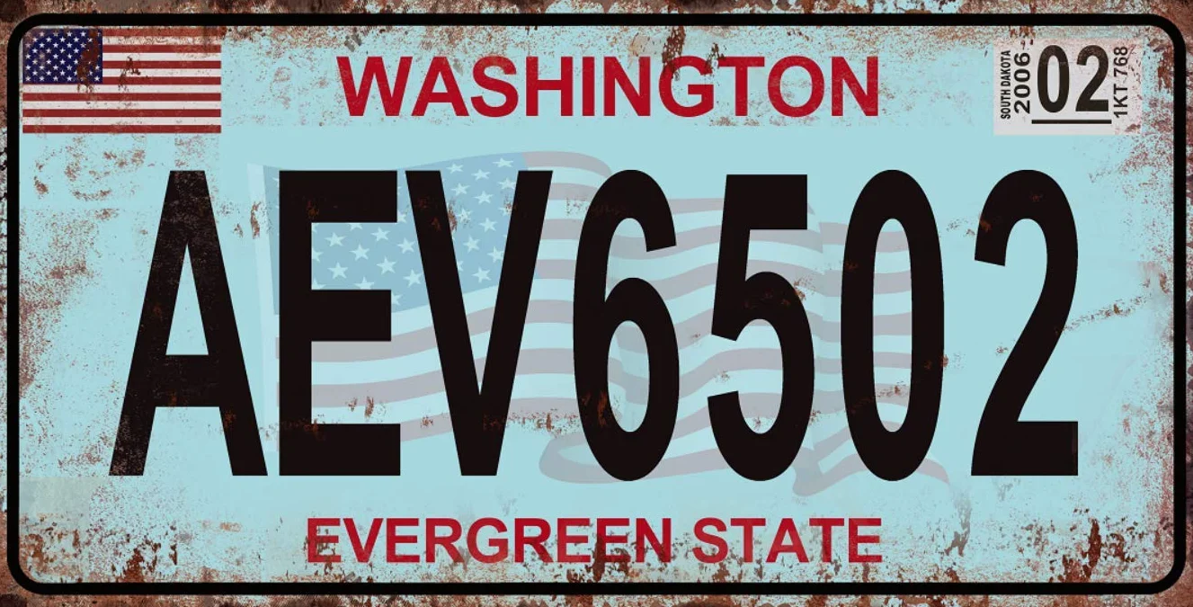 OPO 10 - Lote de 5 Placas de matrícula de automóviles de EE. UU. En Metal, con Efecto Envejecido - réplicas de Placas Americanas Reales (Old2)
