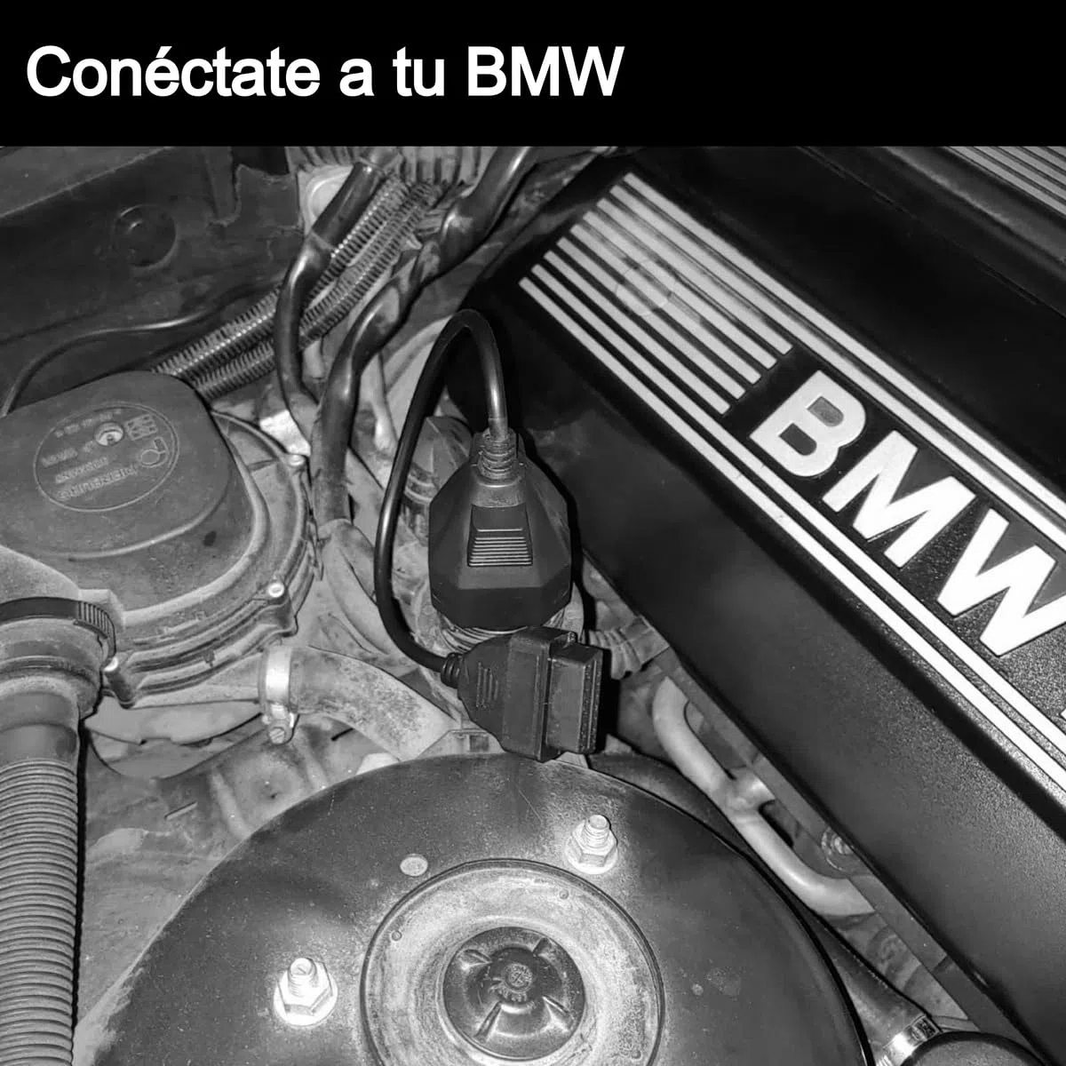 OBD OBD2 Adaptador de diagnóstico de Conector de 16 Pines Compatible con BMW de 20 Pines