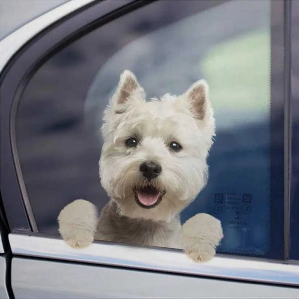 ArogGeld Westie West Highland White Terrier Calcomanía de perro – Vinilo, semimate, blanco, dibujos animados, cristal, impermeable, rectangular, exterior, coche, perro, camión, oeste, 1E+1 x 1E+1